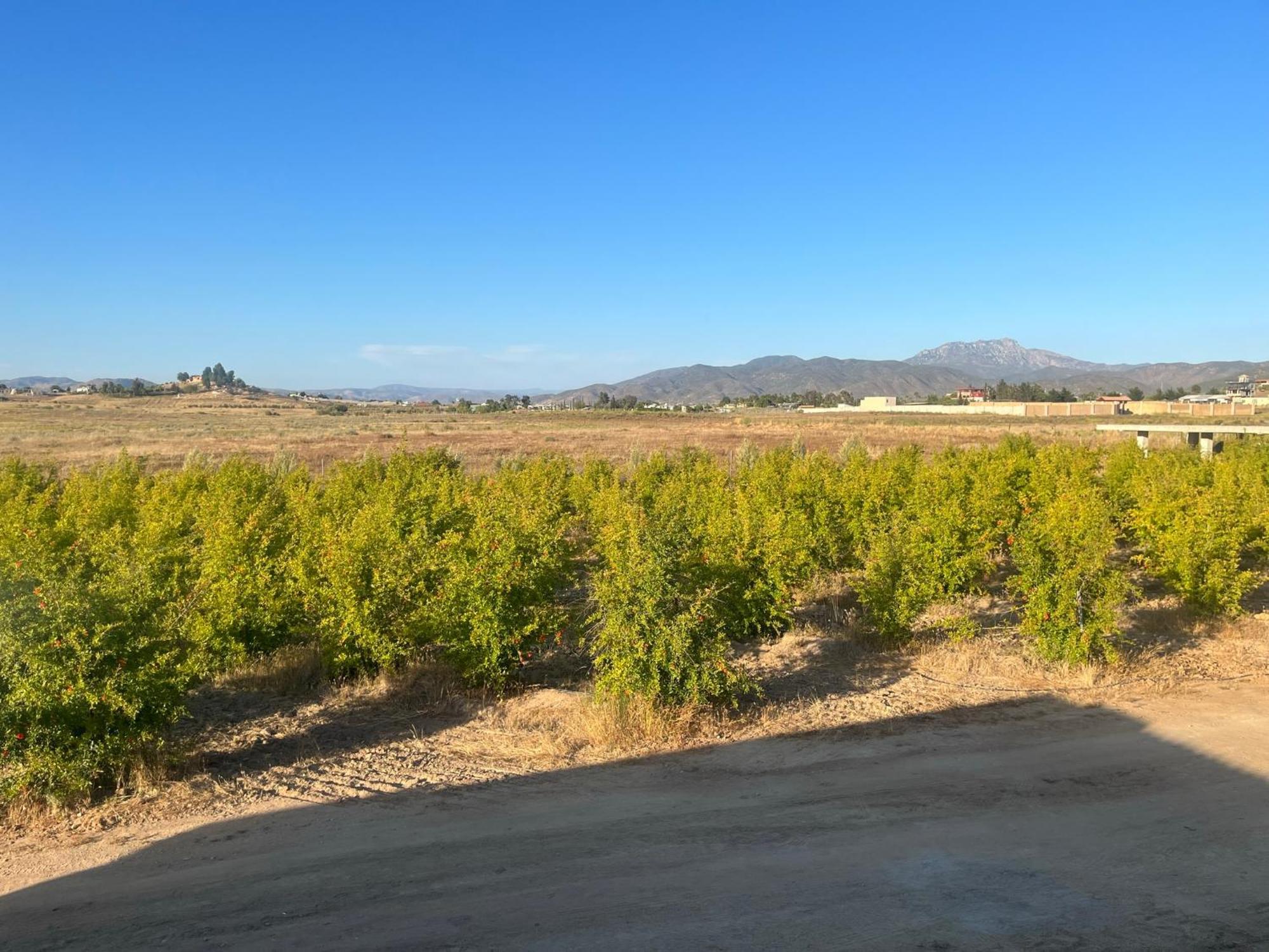 Villas Persas By Jardin De Persia Valle de Guadalupe Εξωτερικό φωτογραφία